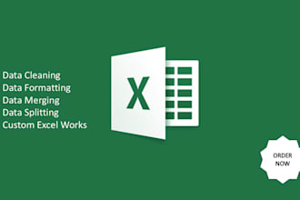 data cleaning, deduplication, and excel formatting