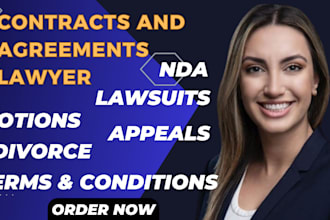 draft and review divorce agreements, custody petitions, and spousal support docs