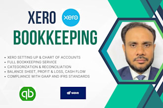 provide professional xero bookkeeping services for your business