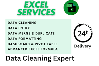 do excel data cleaning, formating, graph dashbord, pivot table, entry
