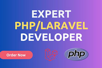 create laravel dynamic website for startups