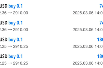 develop and manage mt5 mt4 account management for stable profit