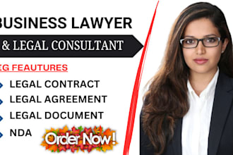 do business lawyer, legal consultant and advisor nda, legal agreement, contract
