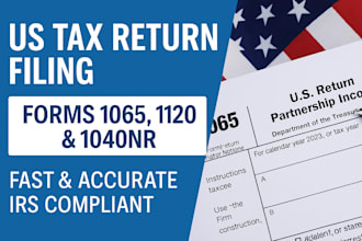 prepare and e file USA tax returns for 1065, 1120 and 1040nr