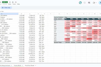 create charts, pivot tables, data cleaning, PDF to excel