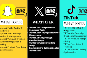 create run fix manage snapchat store SEO tiktok ads video ads tiktok snapchat x