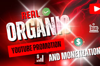 do best youtube video SEO expert optimization and channel growth monetization