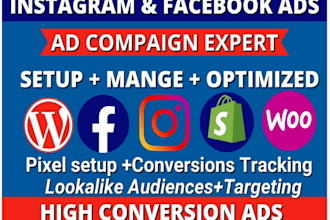 setup and manage facebook ads meta fb ad campaign advertising marketing campaign