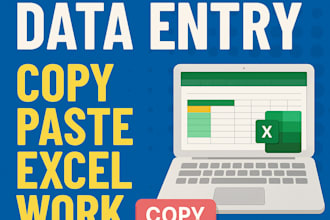 data entry, copy paste, excel data entry, data typing
