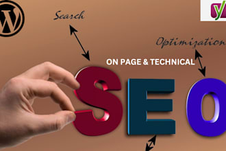 do onpage SEO optimization service of wordpress site