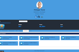be your expert salesforce developer and administrator
