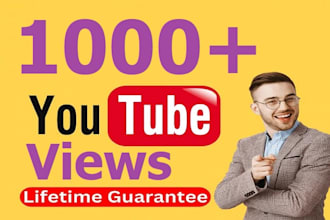 1000 youtube video views organically