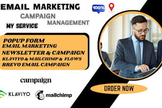 setup email marketing campaign automation via klaviyo mailchimp brevo flows