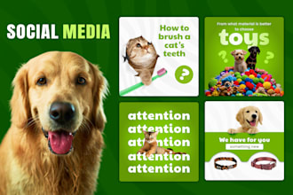 create professional static social media designs