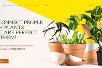 seo subscription box website using shopify wordpress subbly cratejoy kartra cro