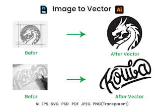 vectorize image, recreate logo, modify, edit, convert vector art or any graphic