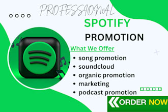 promote your spotify music to boost spotify streams through targeted ads