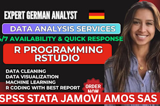 do statistical data analysis, coding in r studio, r programming, spss, excel