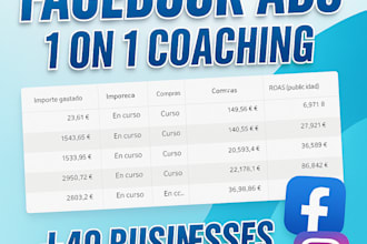 your mentor, coach and consultant for meta facebook insta ads