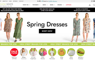 design stunny apparel clothing website fashion clothing dropshipping store