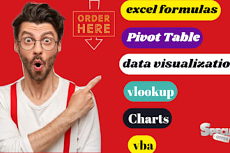 do graphs, charts, microsoft excel, pivot table, excel dashboard and diagrams