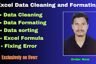 do excel data cleaning, formating, sorting, formulas entry,
