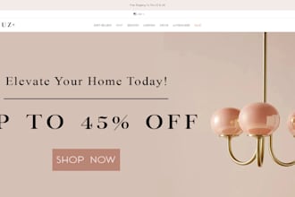build you a shopify store