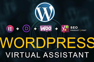 be your virtual assistant VA for any wordpress task