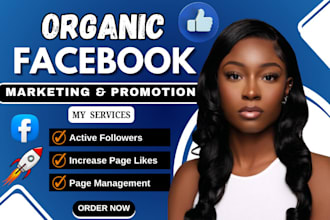 grow your facebook page fast organically increase instagram follower