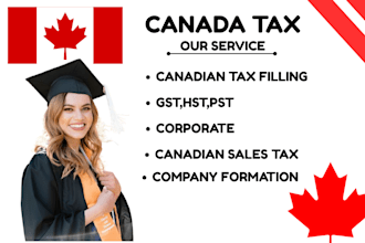 provide canadian sales tax services, personal tax t1 and company setup