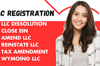 do US llc formation ,dissolve and reinstate llc, amend llc , close ein