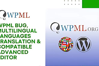 professional translate your wordpress website to multilingual using wpml SEO