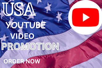 do USA video promotion, organic youtube promotion to USA audience