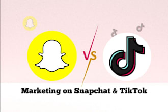 do snapchat ads, tiktok, linkedin promotions, social media management