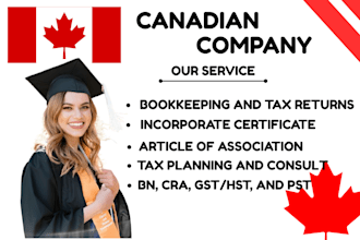 cross bordertax prep and filling, canadian gst,hst,qst,pst efile t2 cpa