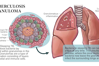 design and illustrate a medical illustration