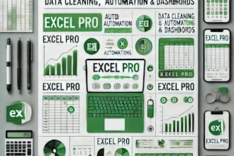 excel data entry formatting and analysis services