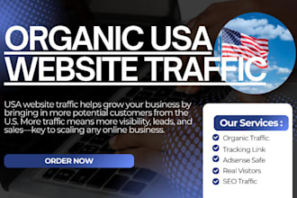 do organic USA,UK website traffic