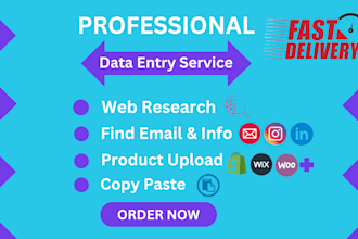 provide accurate data entry web research product upload and copy paste