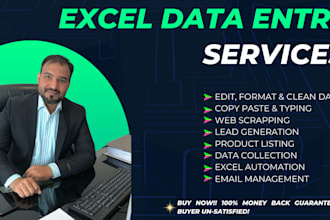 do excel data entry, quick copy paste, data collection and excel data entry