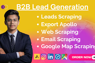 do b2b lead generation, data entry, email scraping, web and google map scraping