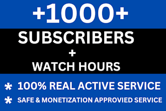 provide fast subscribes, watch time for youtube monetization