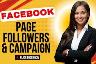 promote your facebook page followers organically with fb and instagram ads