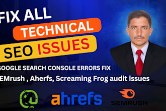 fix technical SEO issues, schema markup, indexing, and broken links