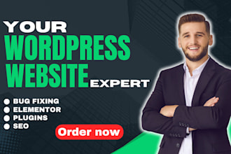 do wordpress website, development, create e commerce store, bug fixing