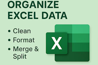clean, format, merge, split excel data