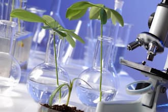 research on any aspect of chemistry