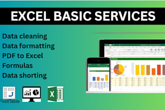 excel data analysis, reports, data cleaning, pivot tables, vlookup
