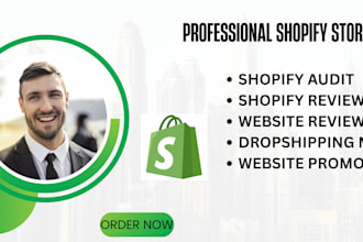 audit, review, and optimize your shopify dropshipping store