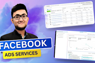 do facebook and instagram ads with ai and targeted campaigns